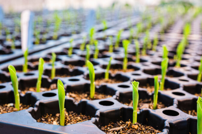 Louis Dreyfus Company Launches Corporate Venture Capital Program